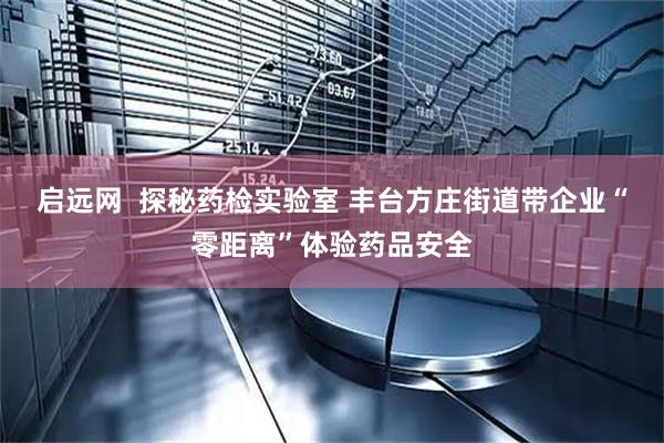 启远网  探秘药检实验室 丰台方庄街道带企业“零距离”体验药品安全