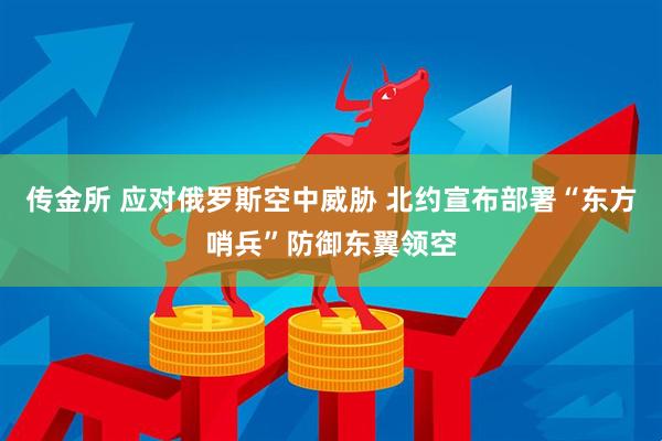 传金所 应对俄罗斯空中威胁 北约宣布部署“东方哨兵”防御东翼领空