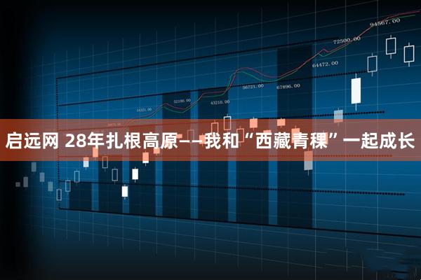 启远网 28年扎根高原——我和“西藏青稞”一起成长