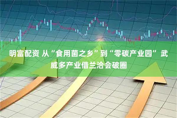 明富配资 从“食用菌之乡”到“零碳产业园” 武威多产业借兰洽会破圈