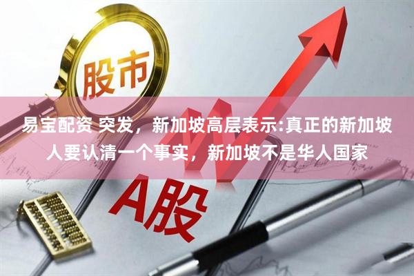 易宝配资 突发，新加坡高层表示:真正的新加坡人要认清一个事实，新加坡不是华人国家